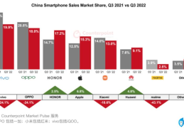 国产手机排名前十品牌(国内手机销量细分排名)