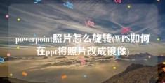 powerpoint照片怎么旋转(WPS如何在ppt将照片改成镜像)