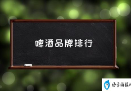 什么牌子的啤酒最好喝又实惠？(啤酒品牌排行)