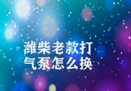 潍柴老款打气泵怎么换(潍柴老款打气泵更换方法)