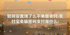 如何设置饿了么不免密支付(支付宝免输密码支付是什么)