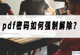 强制解除密码的方法分享(pdf加密文件怎么解密)