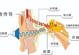 深度分享骨传导耳机优缺点(骨传导耳机优缺点)