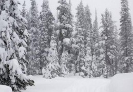 下雪时为什么不打雷