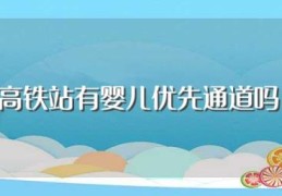 高铁站有婴儿优先通道吗(高铁站有没有婴儿优先通道)