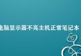 电脑显示器不亮主机正常笔记本(电脑显示器不亮该怎么办)