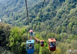 青城山有必要坐索道吗(青城山为什么很邪门)