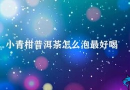 小青柑普洱茶怎么泡最好喝(普洱茶泡法之妙)