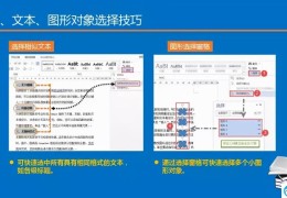 高效排版必会使用技巧(word基本操作教程)