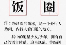 饭圈是什么意思(饭圈文化介绍)