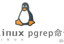 Linux中pgrep命令有什么用