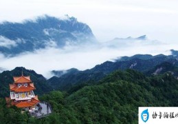 广州十大爬山景点排名(广州爬山十个好去处)