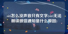 siri怎么没声音只有文字(siri无法朗读微信通知是什么原因)