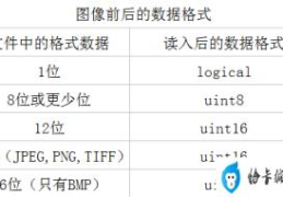 matlab二维数组元素提取方法(matlab二维数组索引)