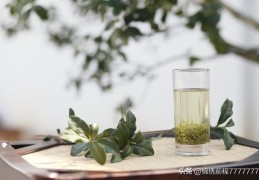 中国最著名最好吃的10种茶叶(好茶叶排名前十名)