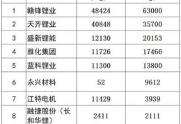 国内锂盐产能(任泽平站台的龙蟠科技价值几何)