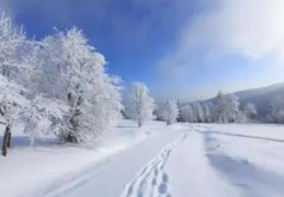 2022年大连11月会下雪吗(大连每年什么时候下雪)