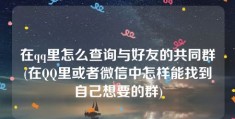 在qq里怎么查询与好友的共同群(在QQ里或者微信中怎样能找到自己想要的群)