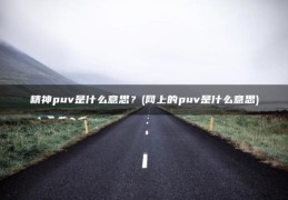 网上的puv是什么意思(精神puv是什么意思？)