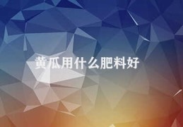 黄瓜用什么肥料好(黄瓜施肥技巧)