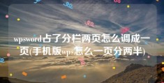 wpsword占了分栏两页怎么调成一页(手机版wps怎么一页分两半)