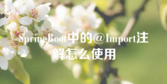 SpringBoot中的@Import注解怎么使用