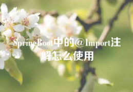 SpringBoot中的@Import注解怎么使用