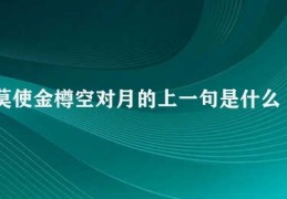 莫使金樽空对月的上一句是什么(金樽对月之意)