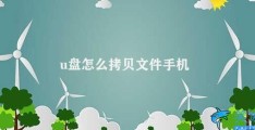 u盘怎么拷贝文件手机(手机使用U盘拷贝文件方法)