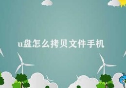 u盘怎么拷贝文件手机(手机使用U盘拷贝文件方法)