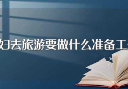 孕妇去旅游要做什么准备工作(孕妇去旅游要做哪些准备工作)