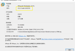 VMware Workstation Pro中如何搭建server虚拟机