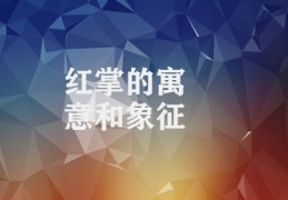 红掌的寓意和象征(红掌的美丽与意义)