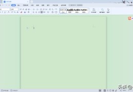 word护眼模式怎么打开（WPS文档页面变成绿色怎么办）
