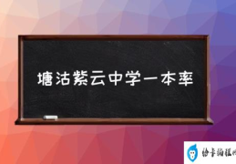 塘沽紫云中学一本率(紫云中学是什么档次？)