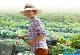 农村土地种植什么最赚钱(种植什么最赚钱农村)