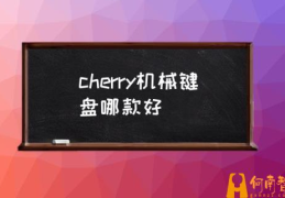 cherry机械键盘性价比推荐？(cherry机械键盘哪款好)