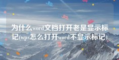 为什么word文档打开老是显示标记(wps怎么打开word不显示标记)