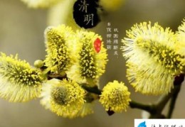 2023年清明节可以动土修坟吗(2023年清明节可以立碑吗)