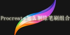 Procreate怎么删除笔刷组合