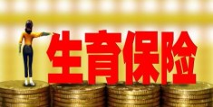 生育保险政策全解读(生育险可以报销多少)