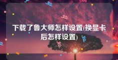 下载了鲁大师怎样设置(换显卡后怎样设置)