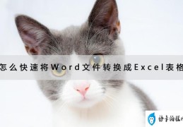 如何把word表格转换成excel(快速把word转换成excel的操作方法)