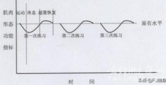 有什么好的健身计划可以推荐吗？(健身创业计划书)