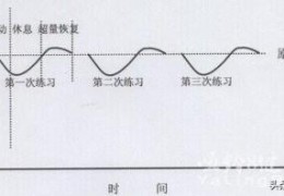 有什么好的健身计划可以推荐吗？(健身创业计划书)