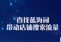 淘宝关键词优化技巧教程(淘宝关键词优化工具哪个好)