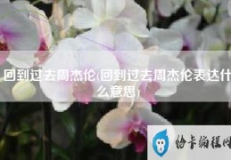 回到过去周杰伦(回到过去周杰伦表达什么意思)