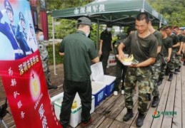 歼20战斗机据说价格在7-8亿元人民币(中国歼20多少钱一架)