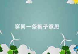 穿同一条裤子意思(团队共识与个体多样性)