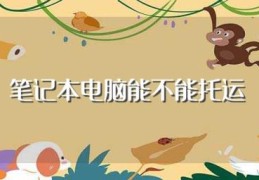 笔记本电脑能不能托运(可以把笔记本电脑办理托运吗)